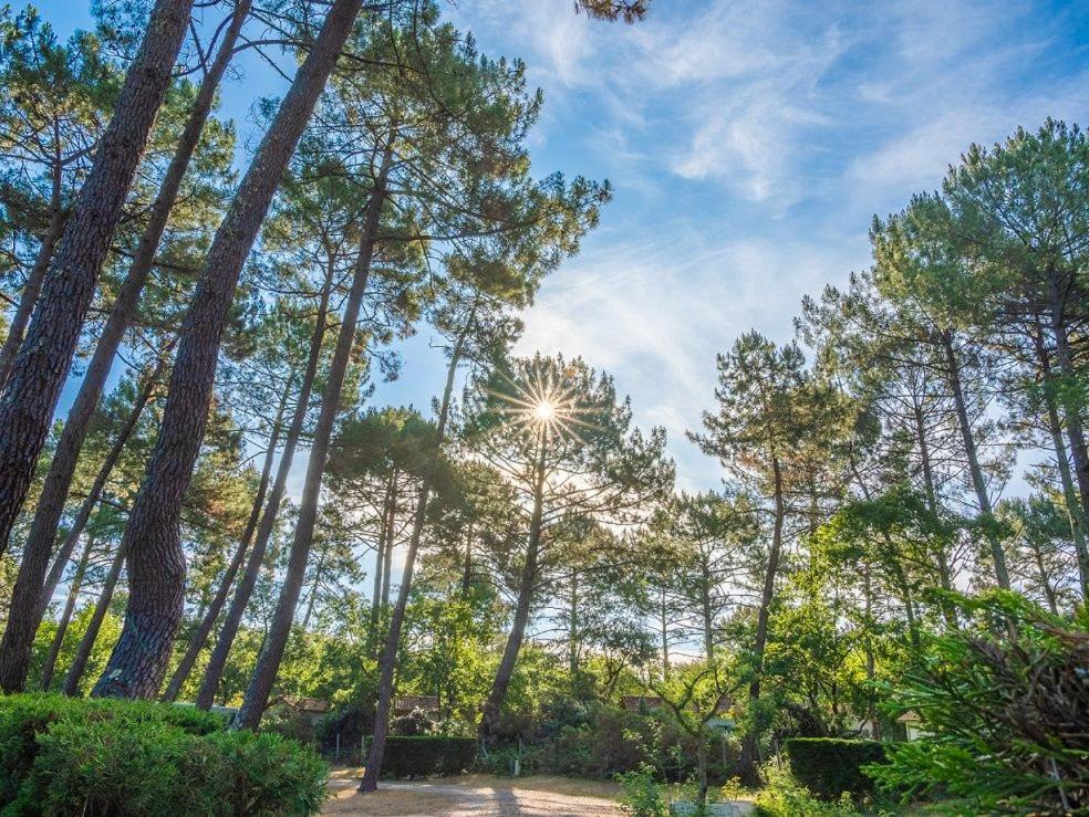 Camping Ares Ngoại thất bức ảnh